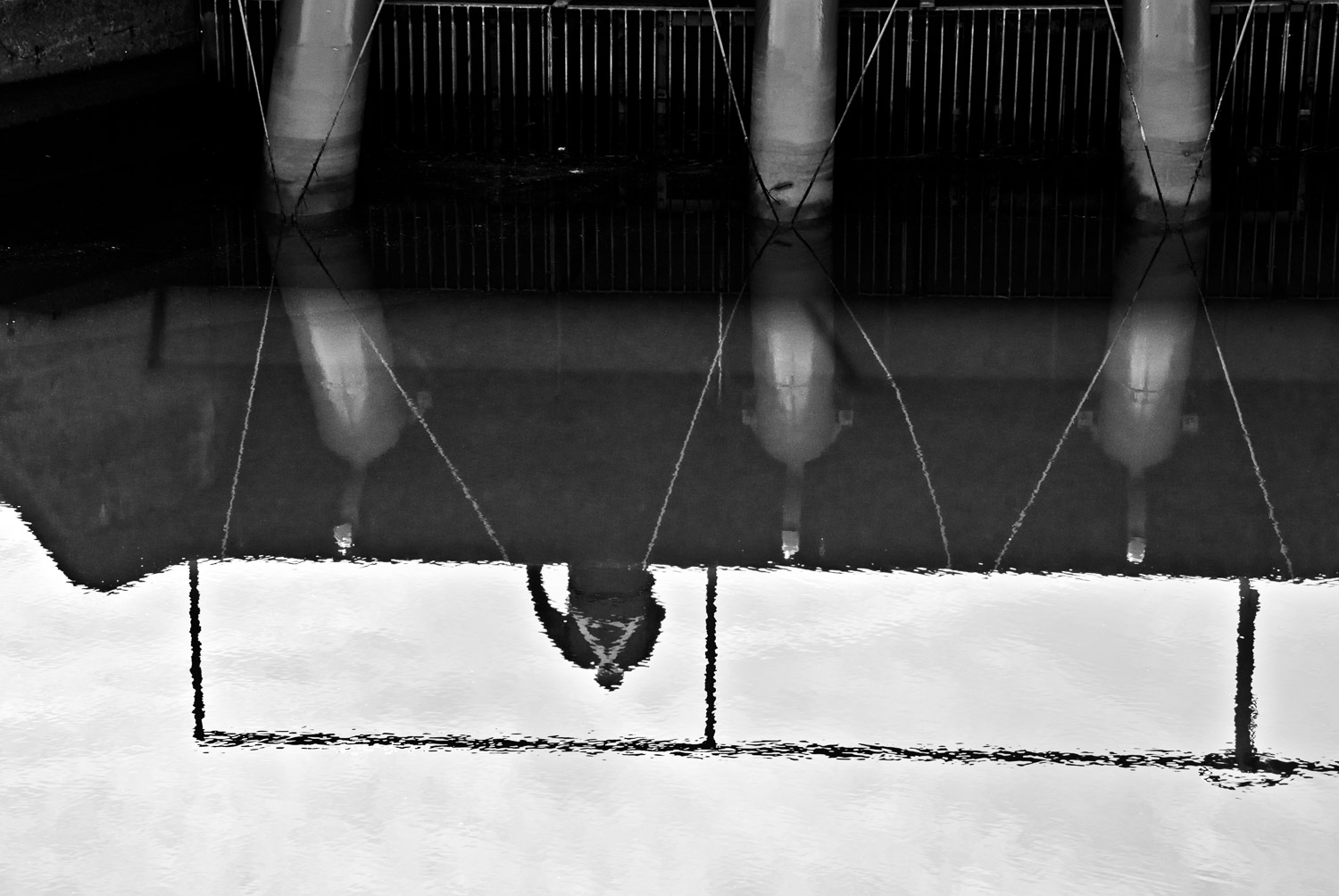 A Guy in a Reflection