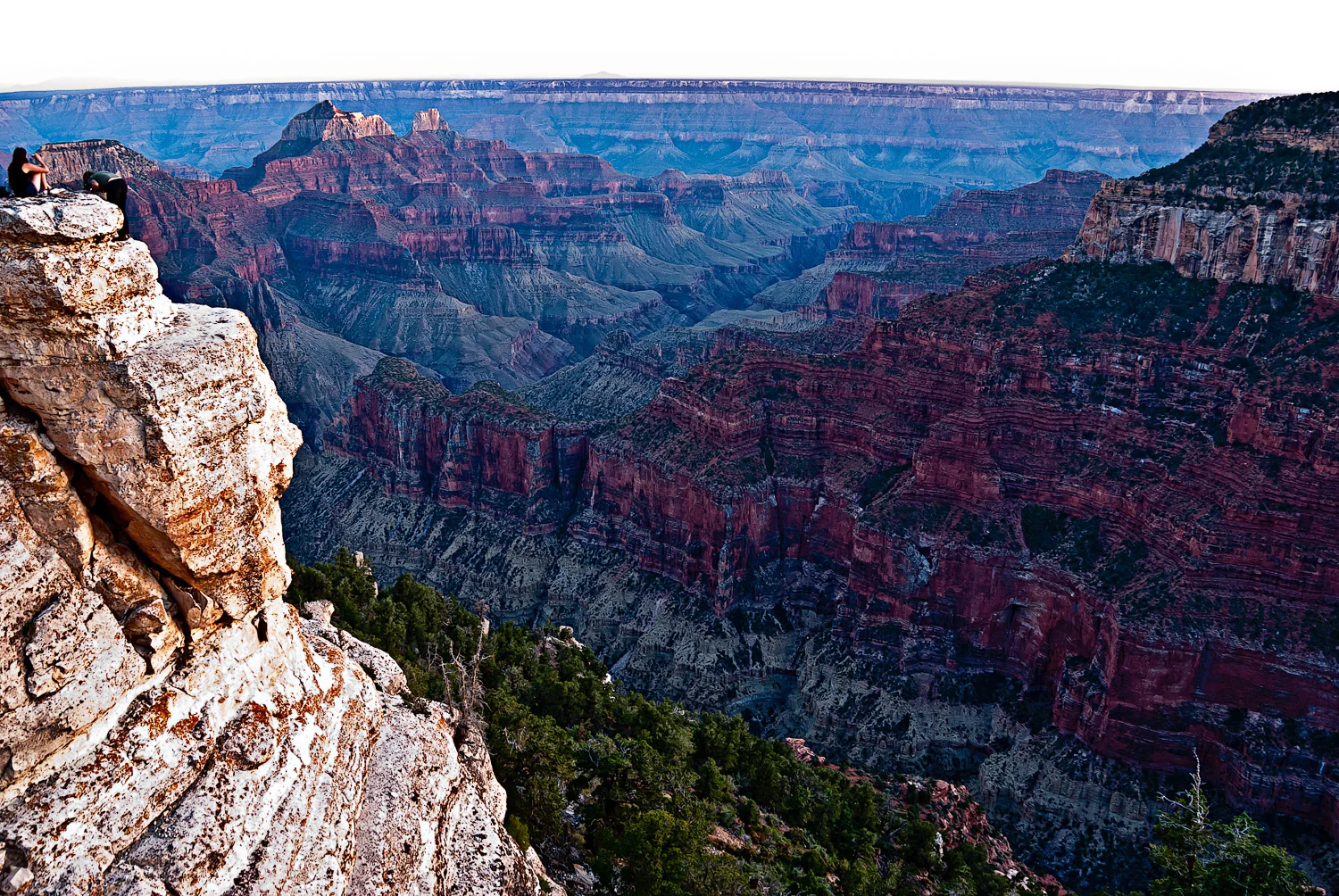 North Rim in Violet | Mark Lindsay