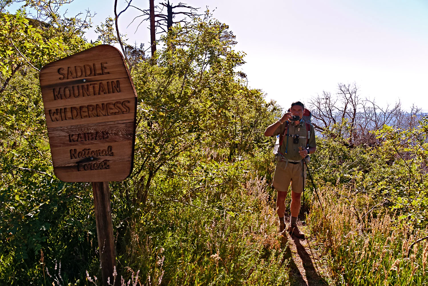 Saddle Mountain Wilderness | Mark Lindsay