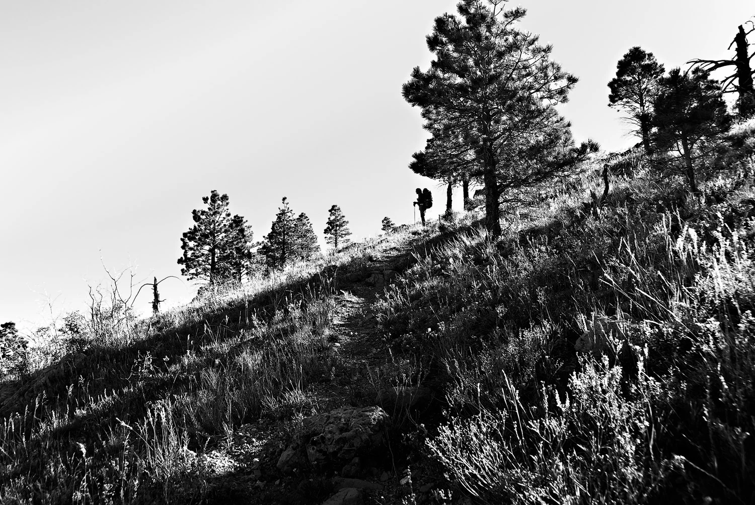 Saddle Mountain Slhouette | Mark Lindsay