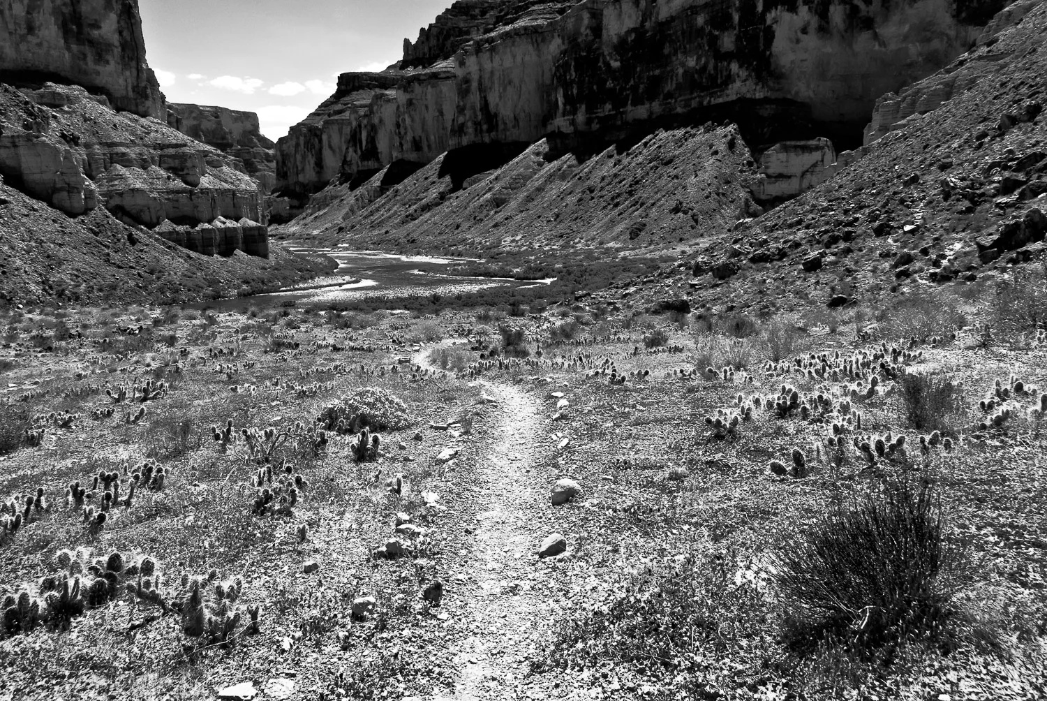 Last Leg of Nankoweap | Mark Lindsay