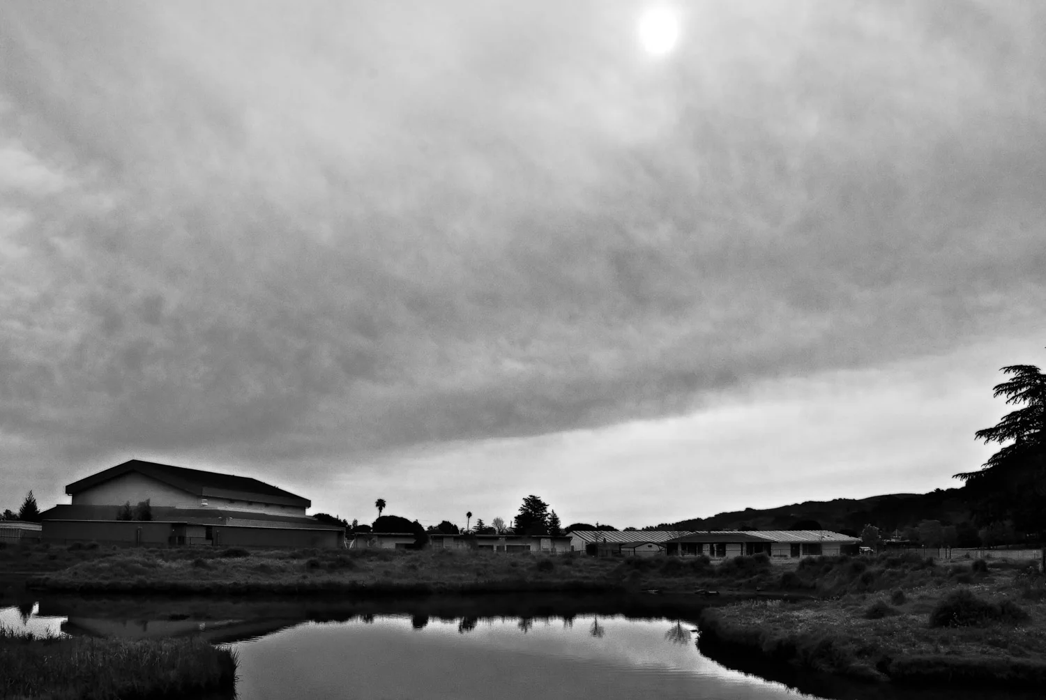 Park's Edge | Mark Lindsay