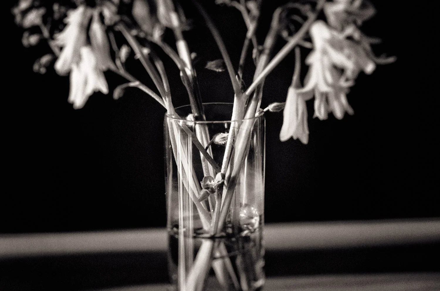 Wildflowers in a Glass | Mark Lindsay