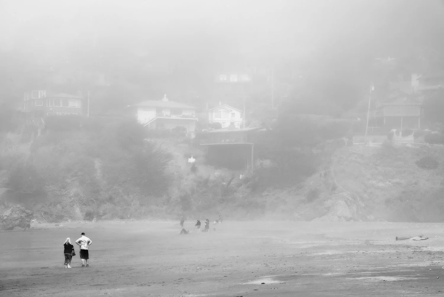Muir Beach Encounters