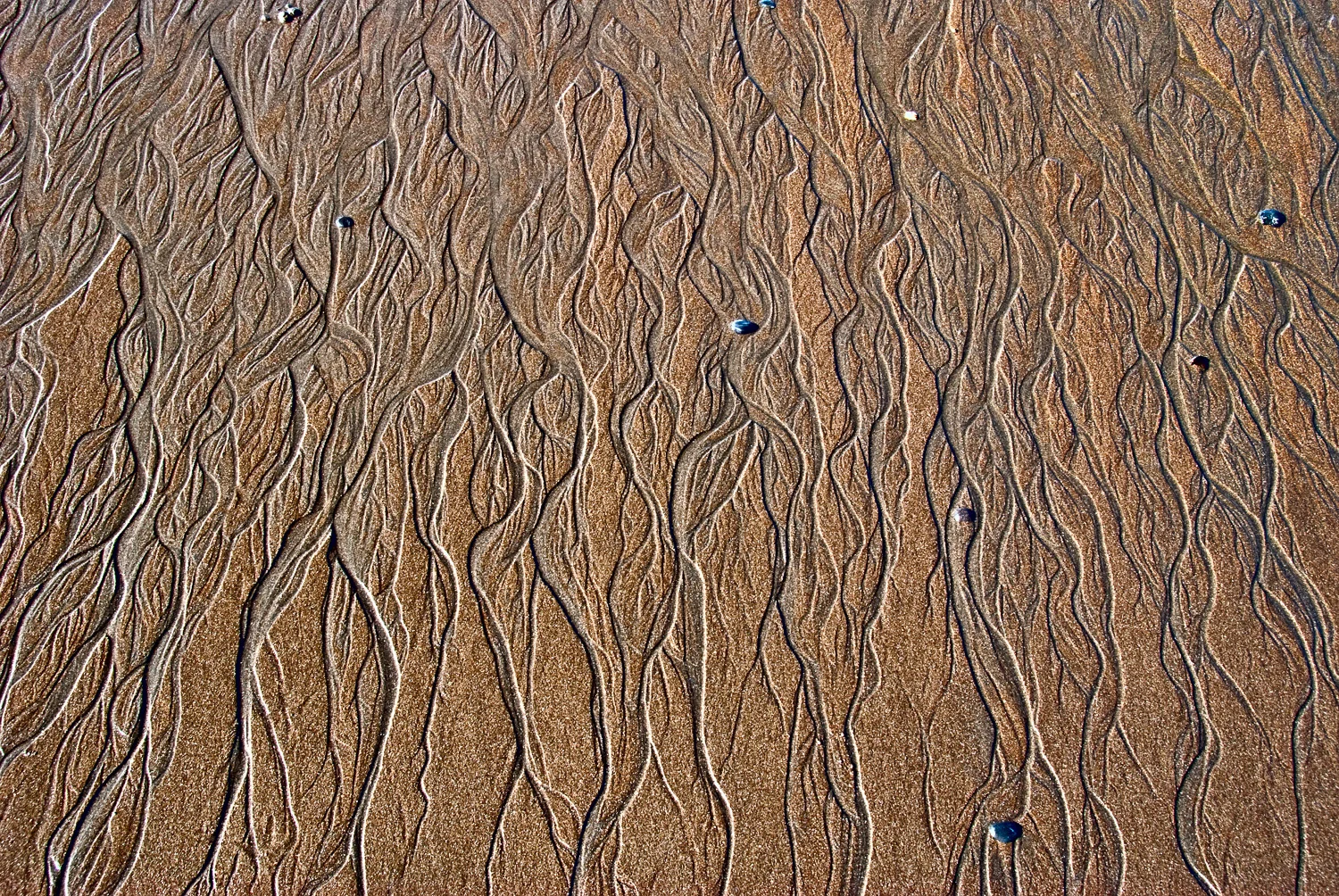 Muir Beach #2