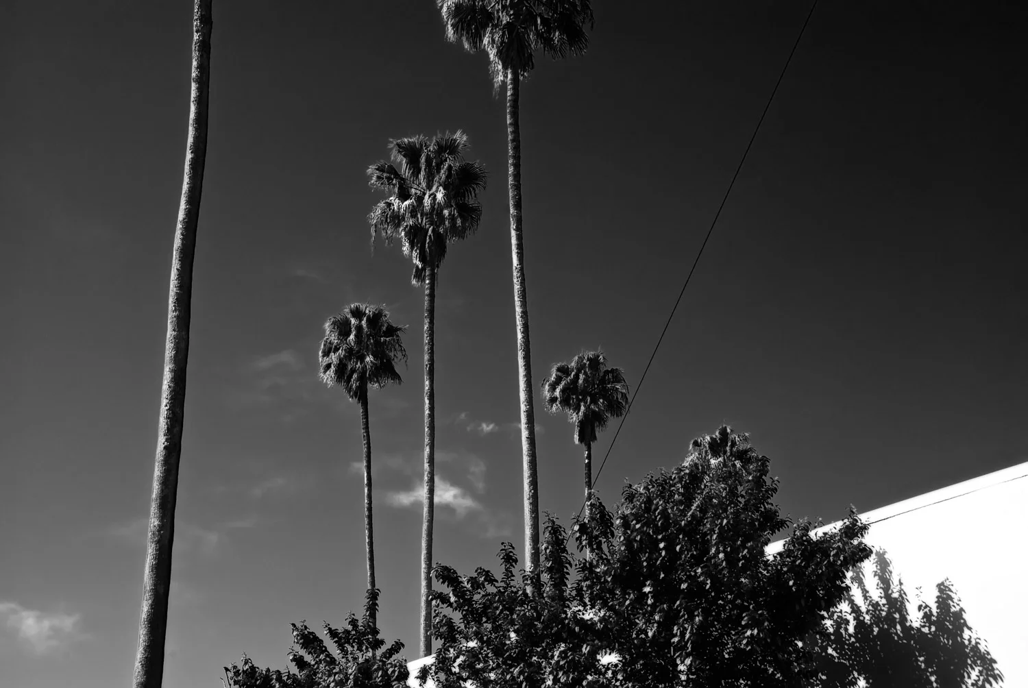 The Second Kind of Walk