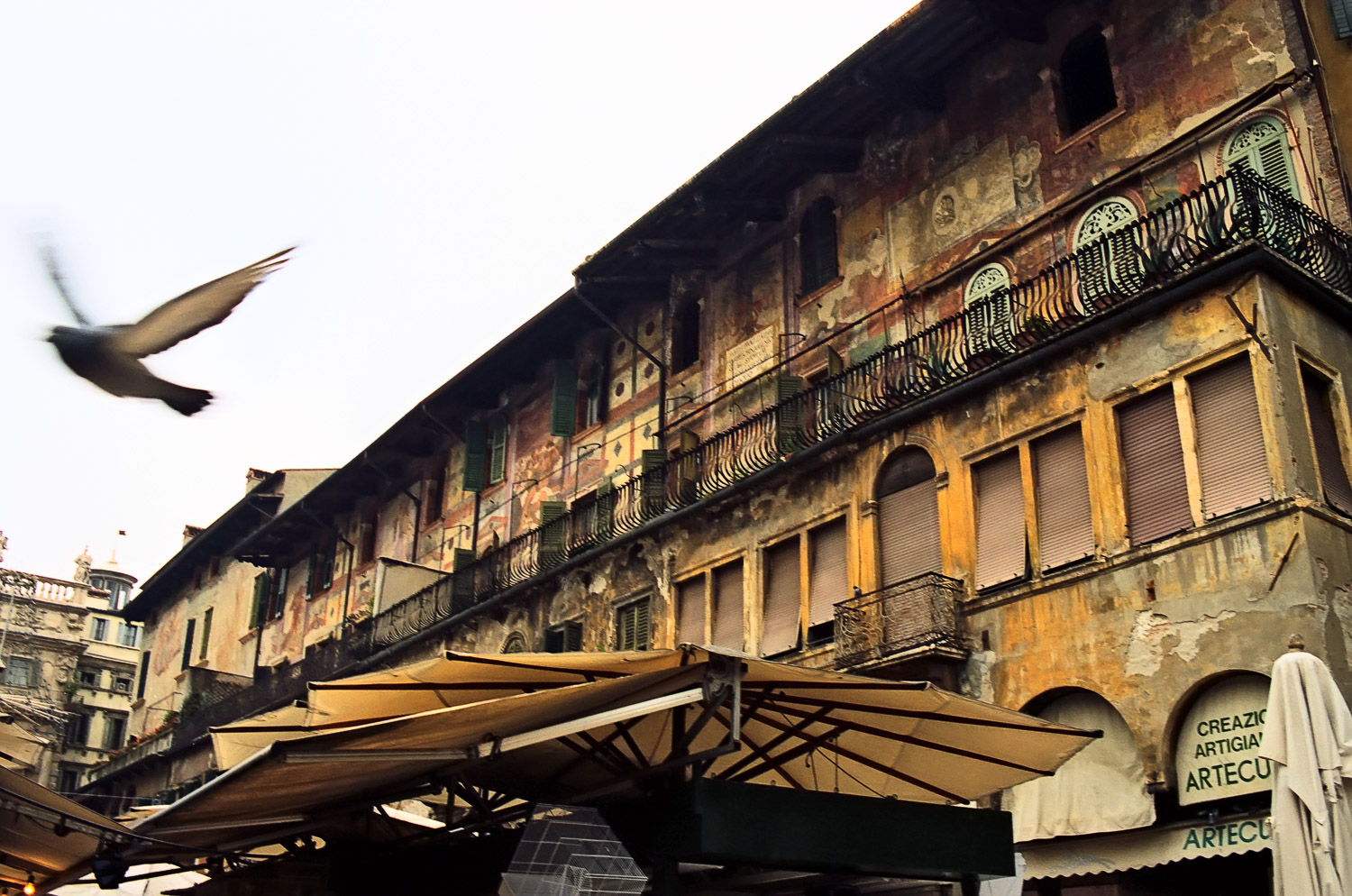 Piazza delle Erbe, Verona | Mark Lindsay