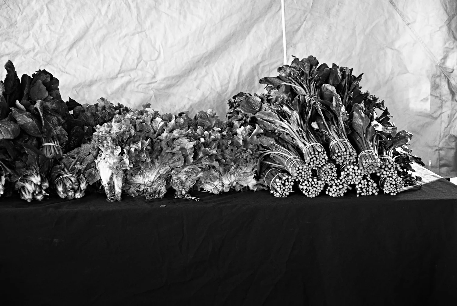 Market Greens | Mark Lindsay