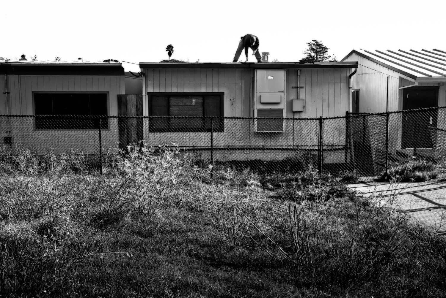 Man on Roof | Mark Lindsay