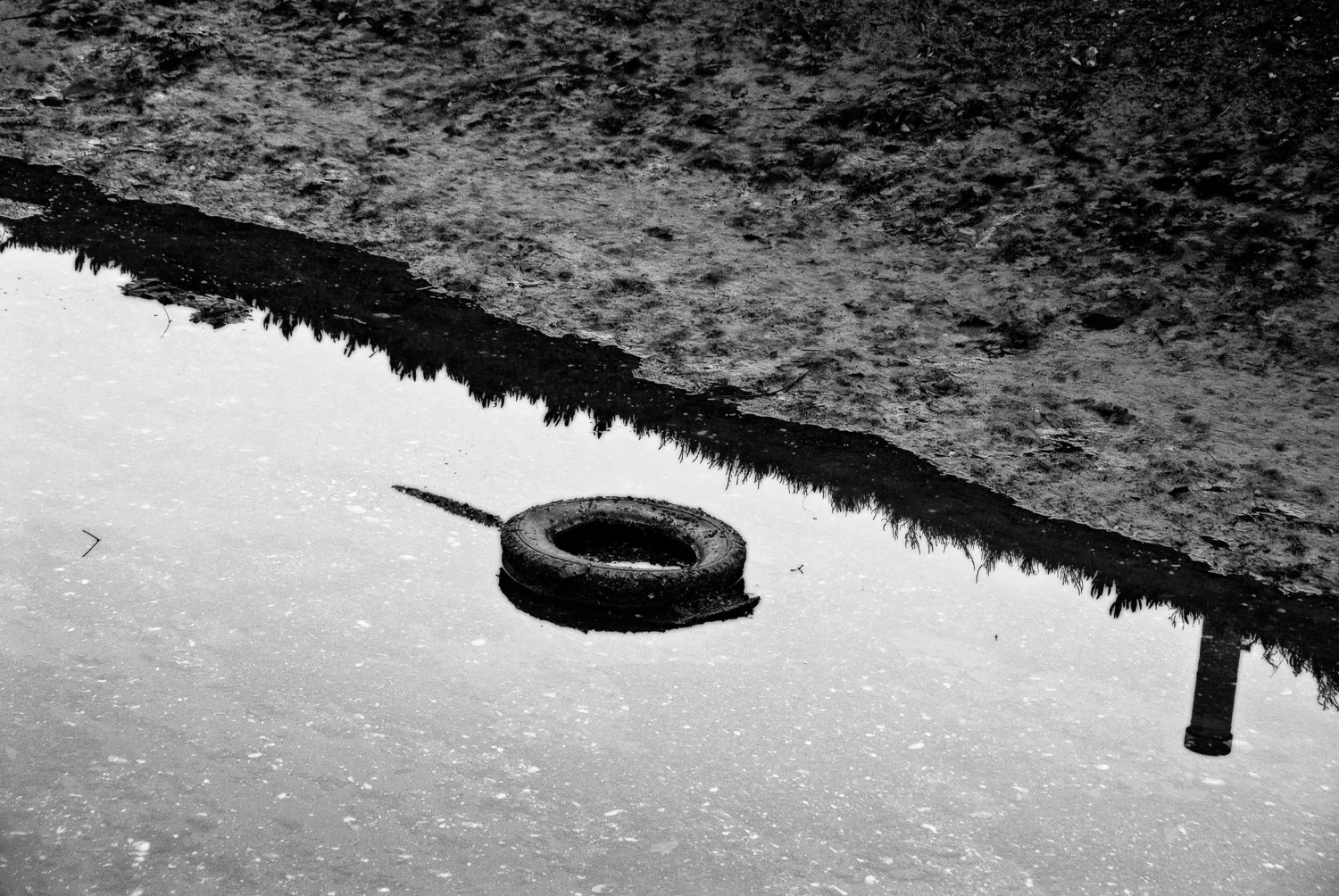 Low Tide Tire | Mark Lindsay
