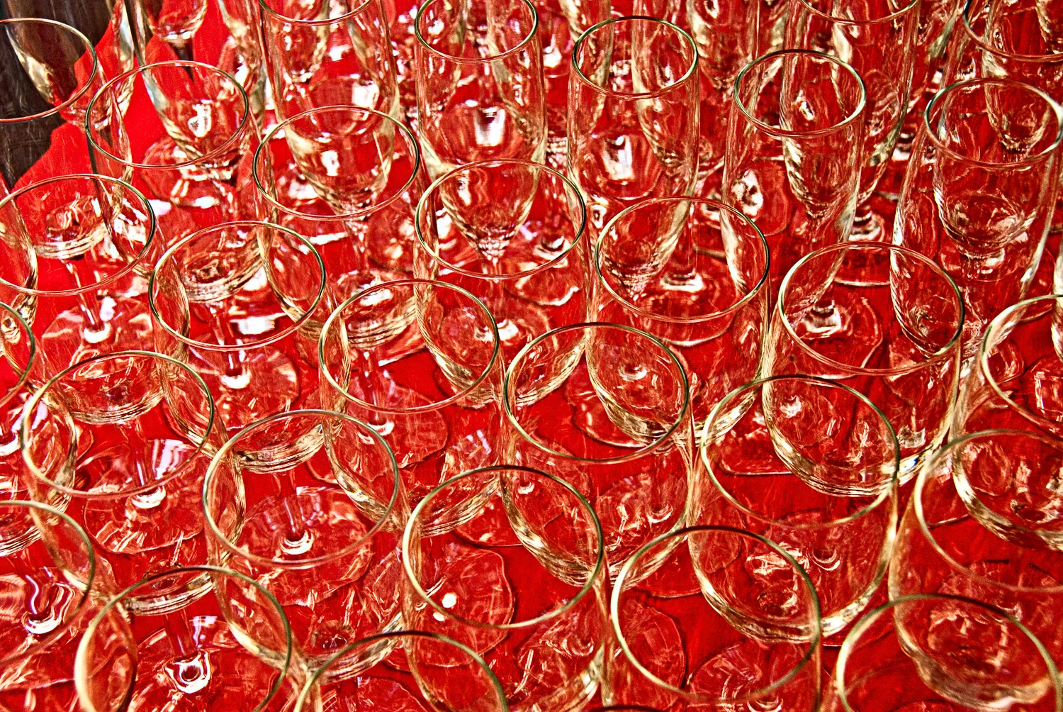 Holiday Glassware | Mark Lindsay