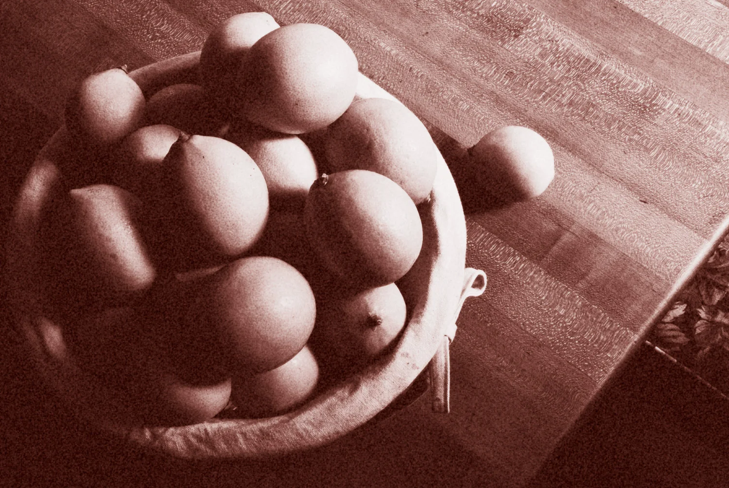 Winter Still Life #2 | Mark Lindsay