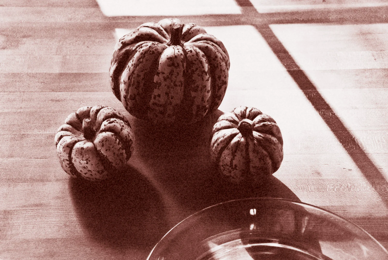 A Winter's Still Life