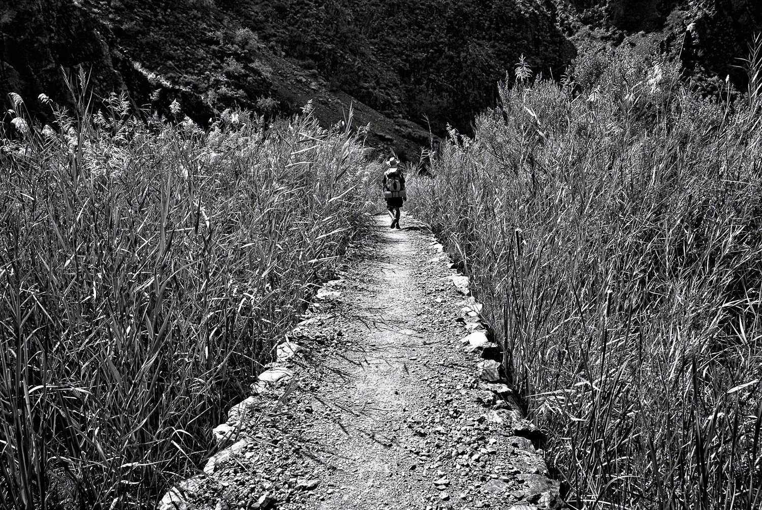 Coming and Going