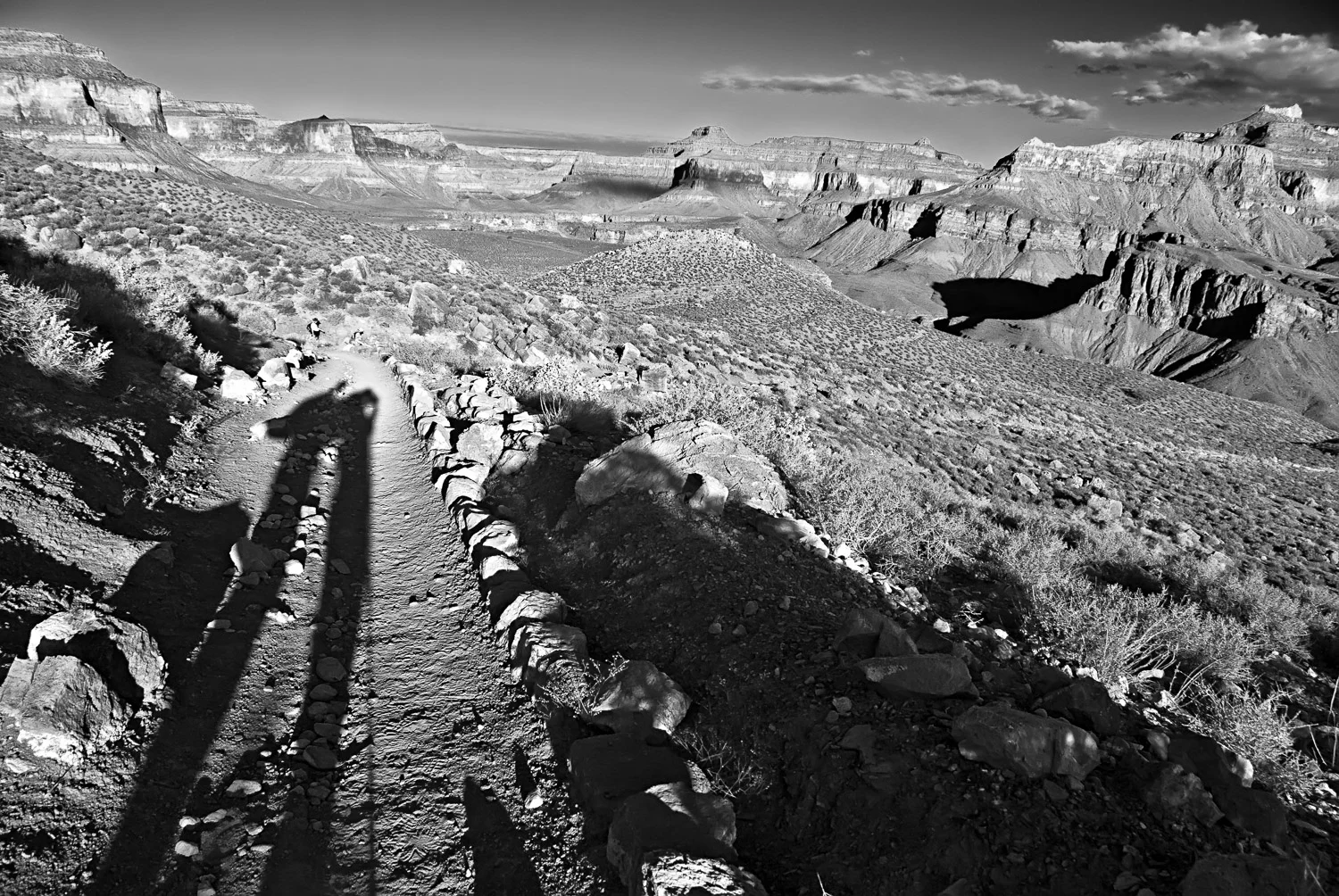 Long Shadows, Grand Canyon | Mark Lindsay