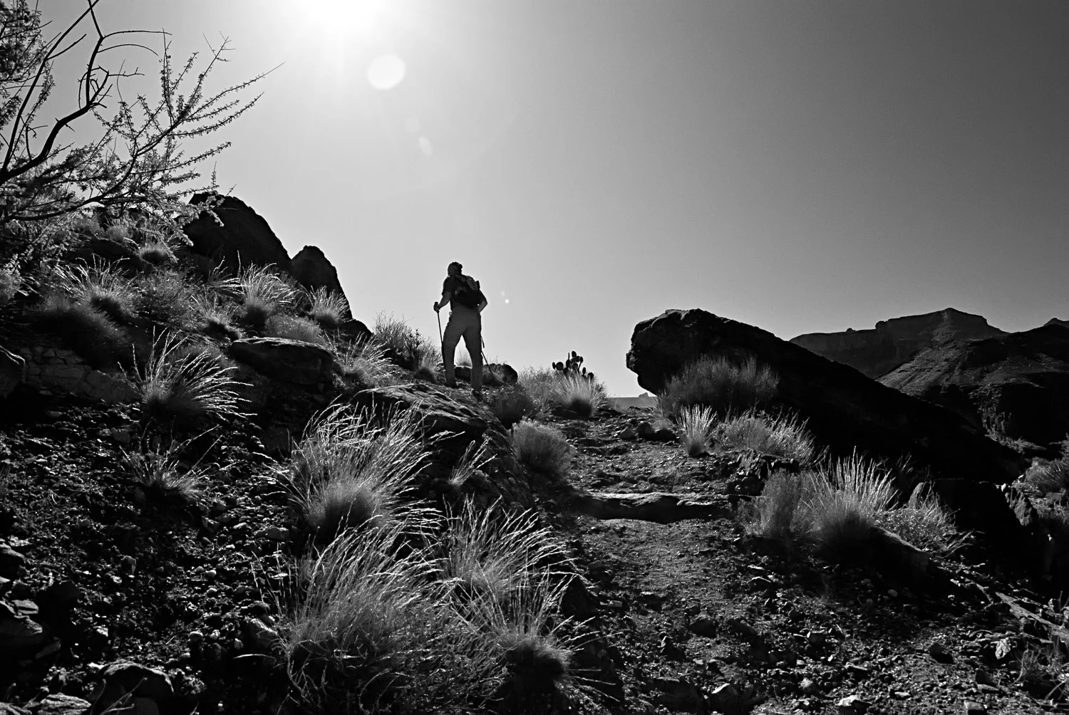 Into the Sun on Clear Creek | Mark Lindsay