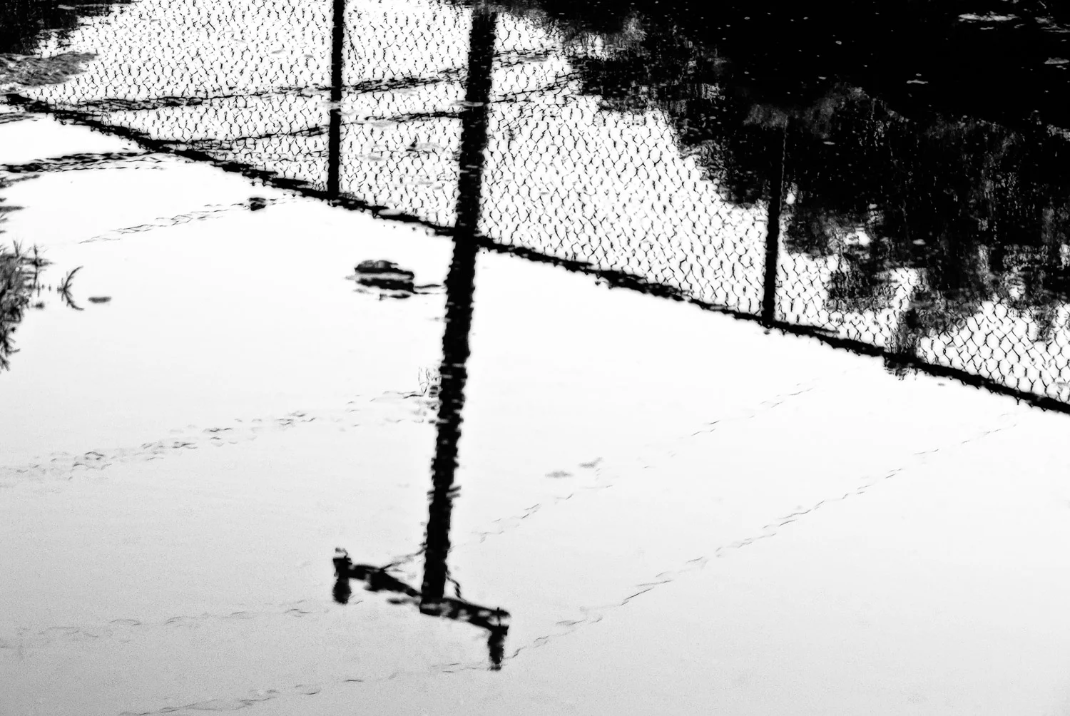 Reflections of a Telephone Pole | Mark Lindsay
