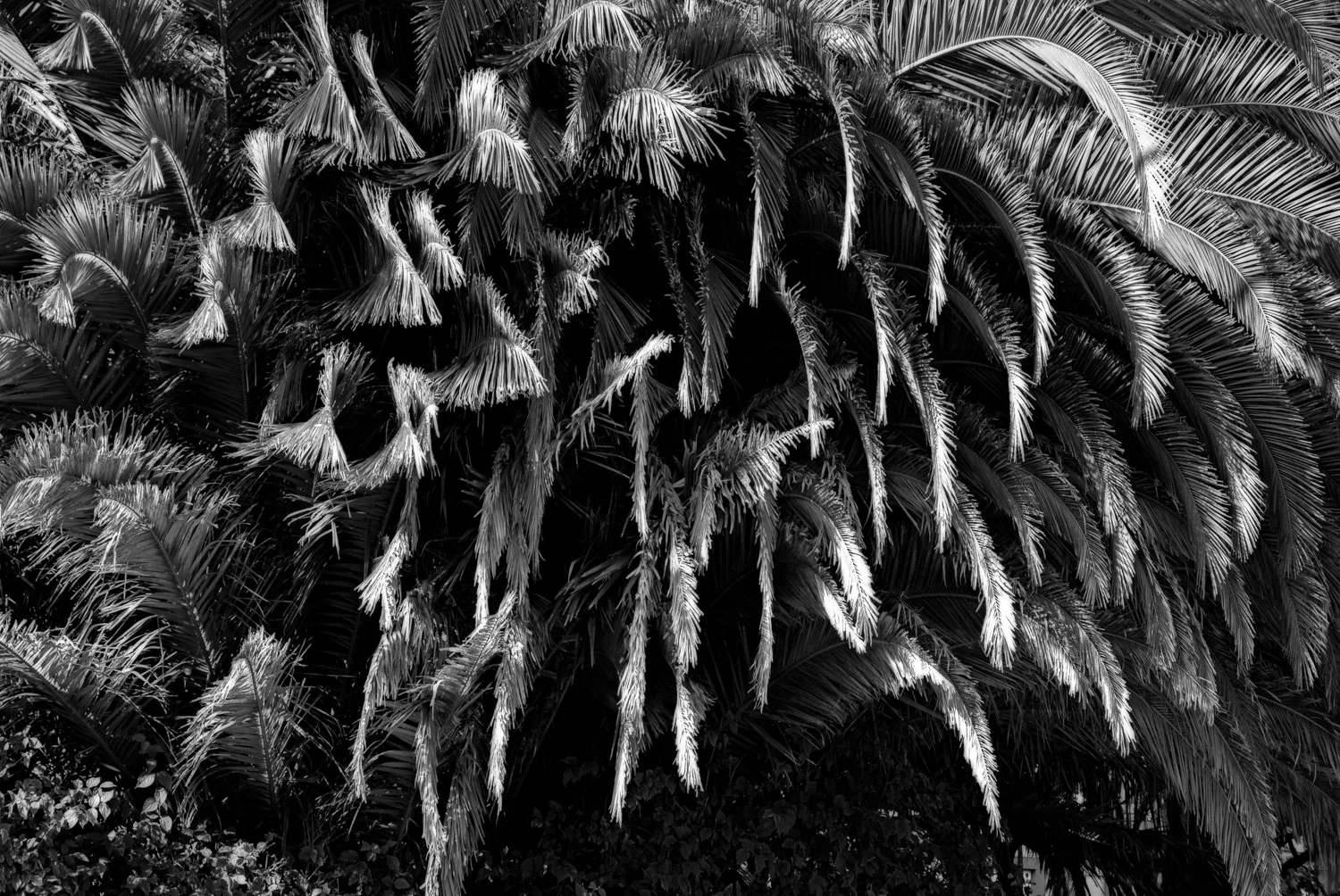 Mapping the Neighborhood