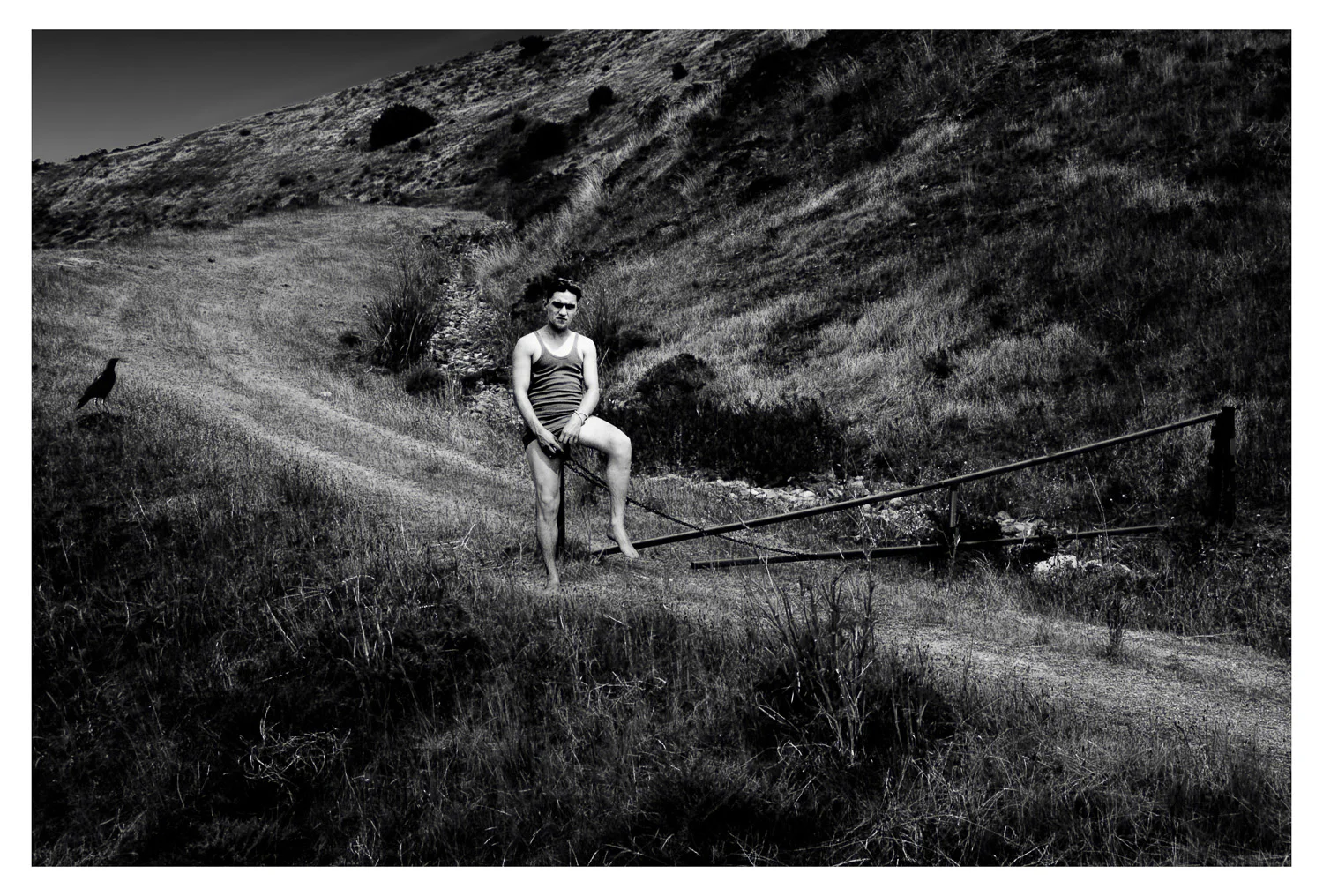 In Memory of Genevieve Lindsay