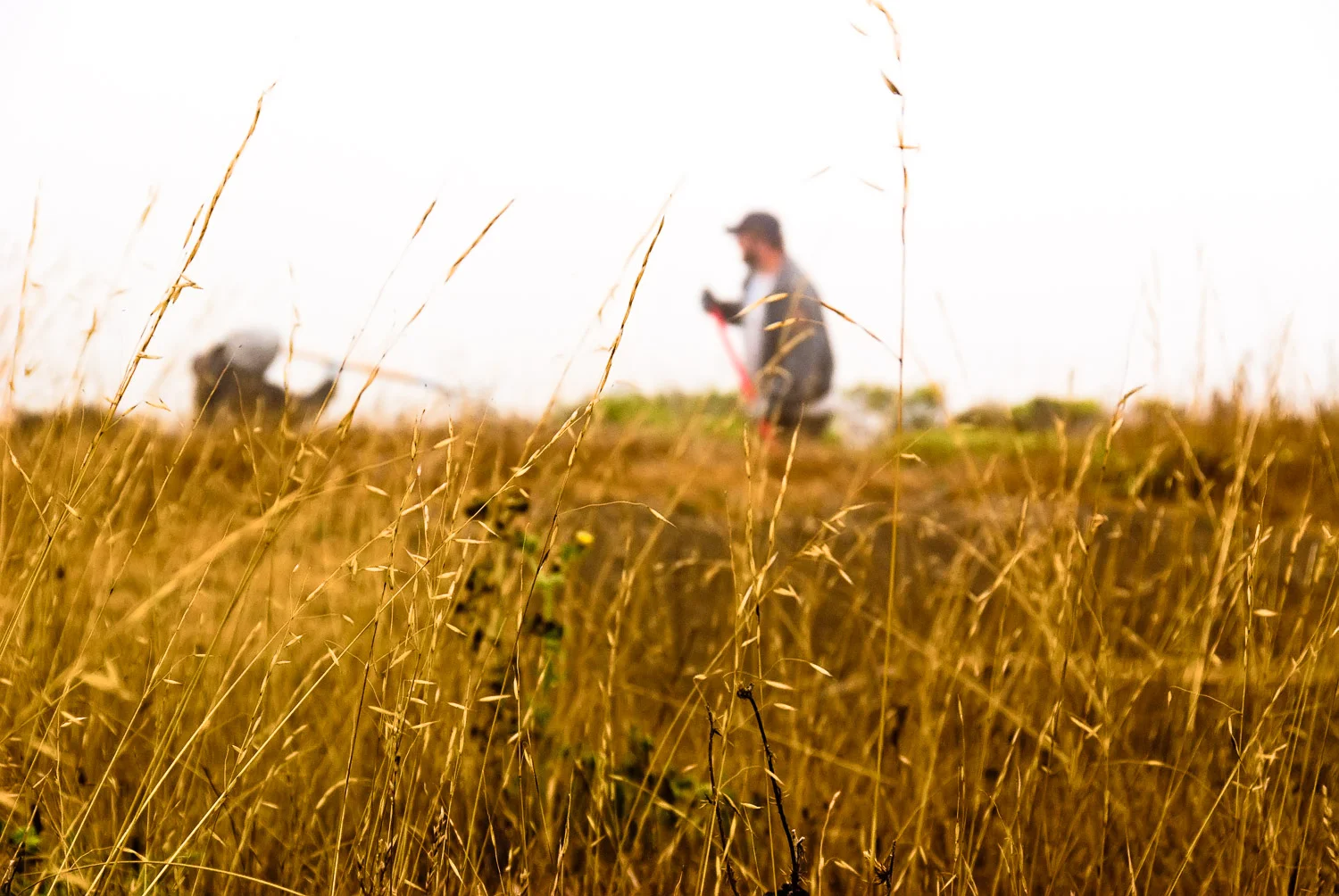 Workers in Fog, Coastal Trail | Mark Lindsay
