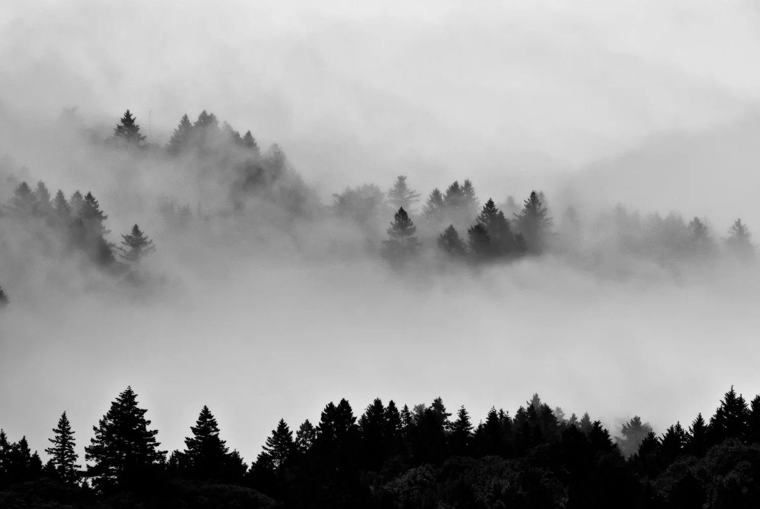 It Takes a Lifetime to Simplify