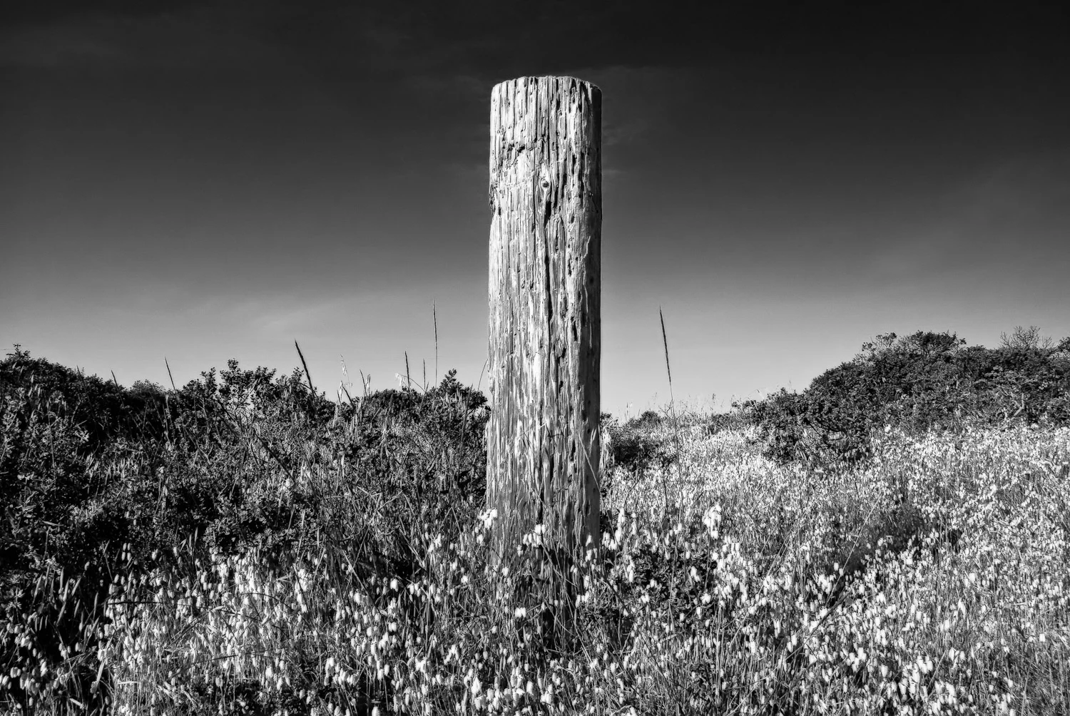 Post, Marin Headlands | Mark Lindsay