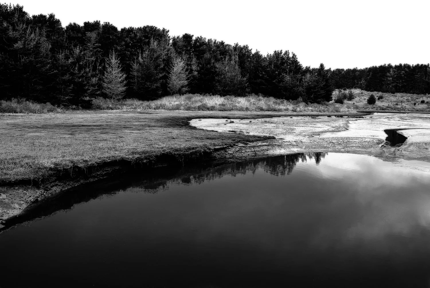 Shadows and Reflections, Pt. Reyes | Mark Lindsay