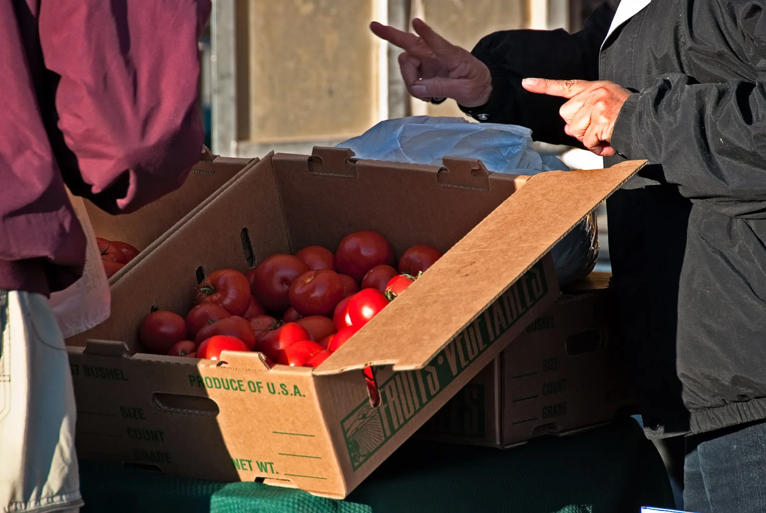 Is There Anyone Really out There?