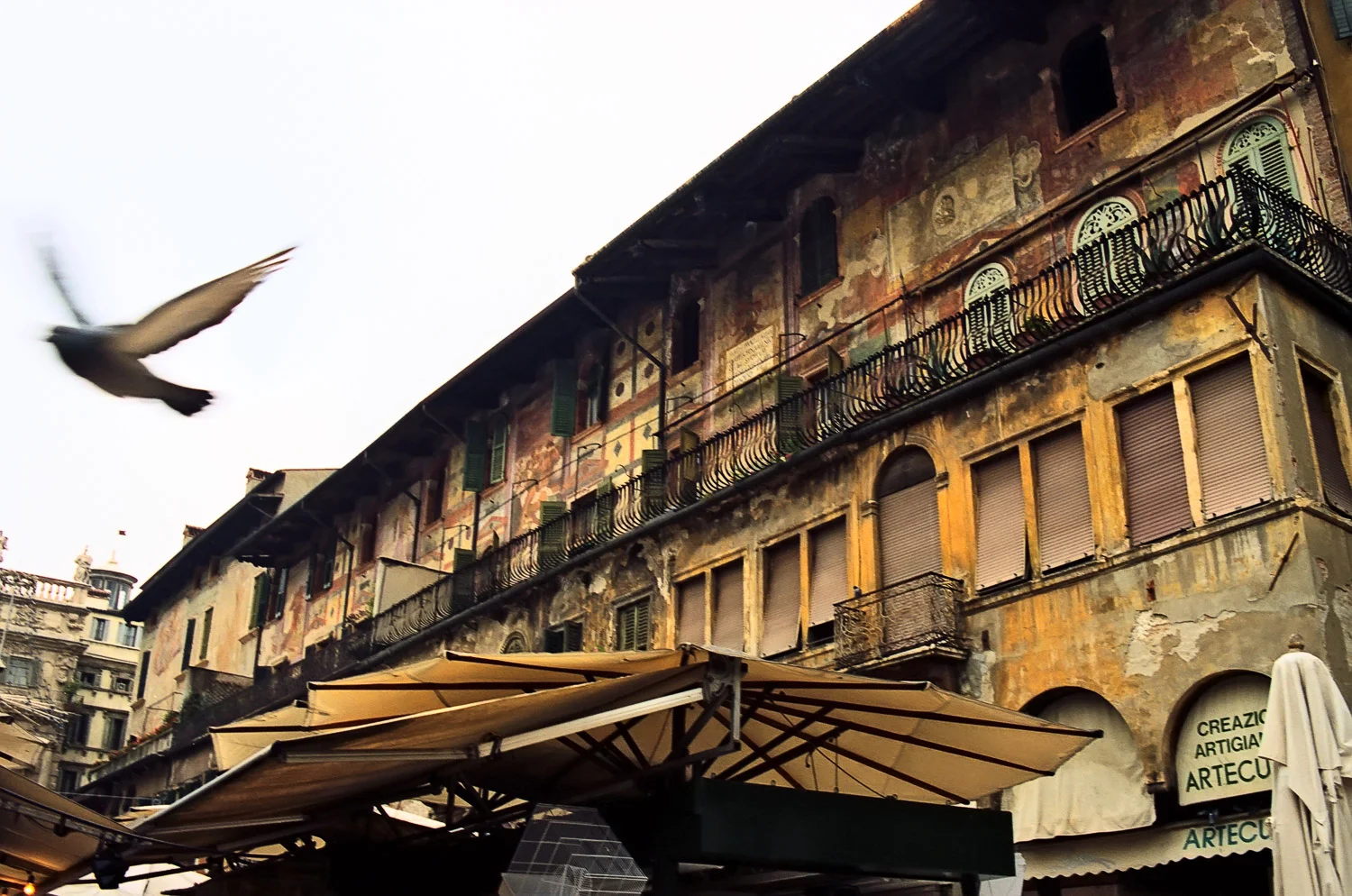 A Gentleman's Hat in Verona