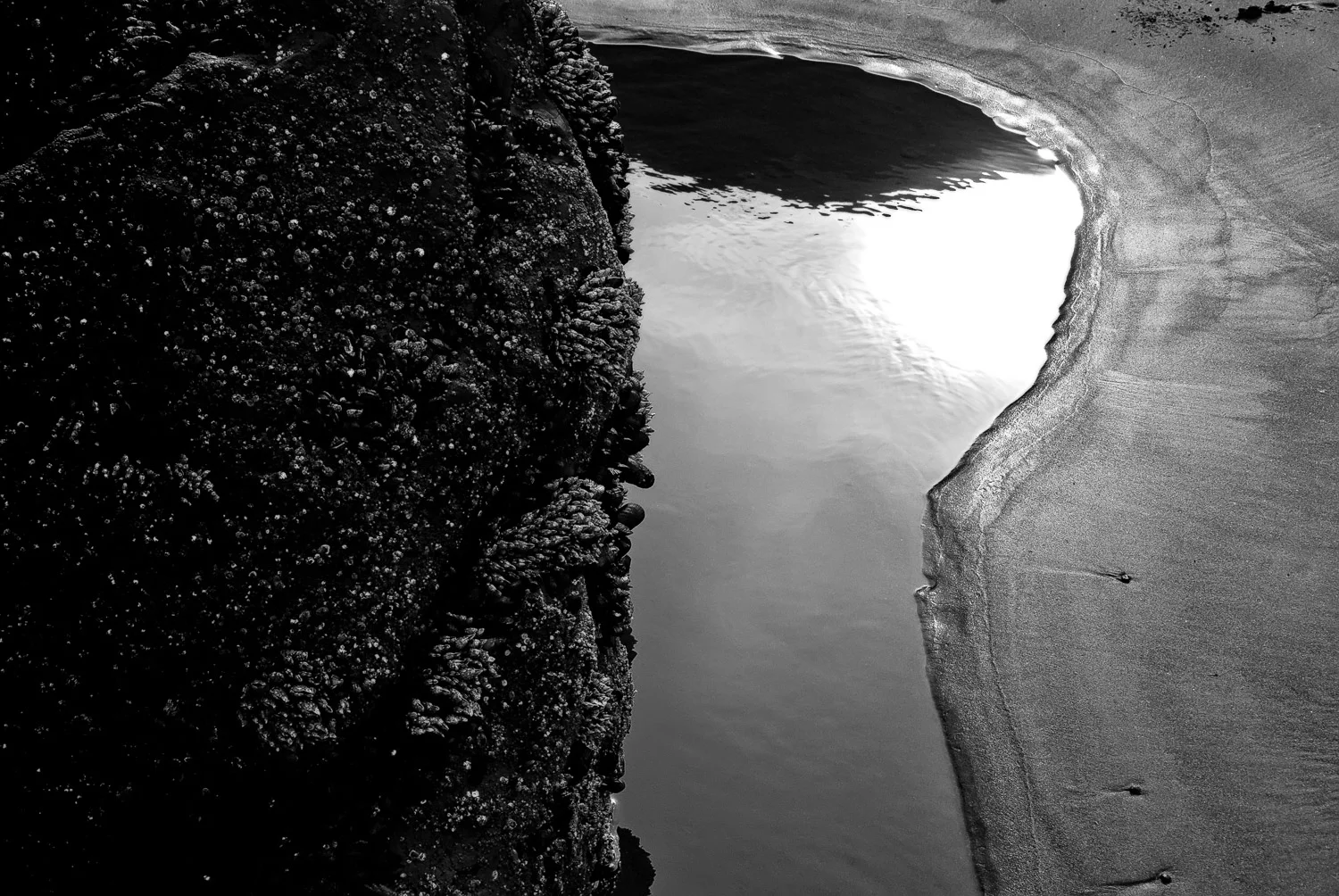 Tidal Pool at Low Tide | Mark Lindsay