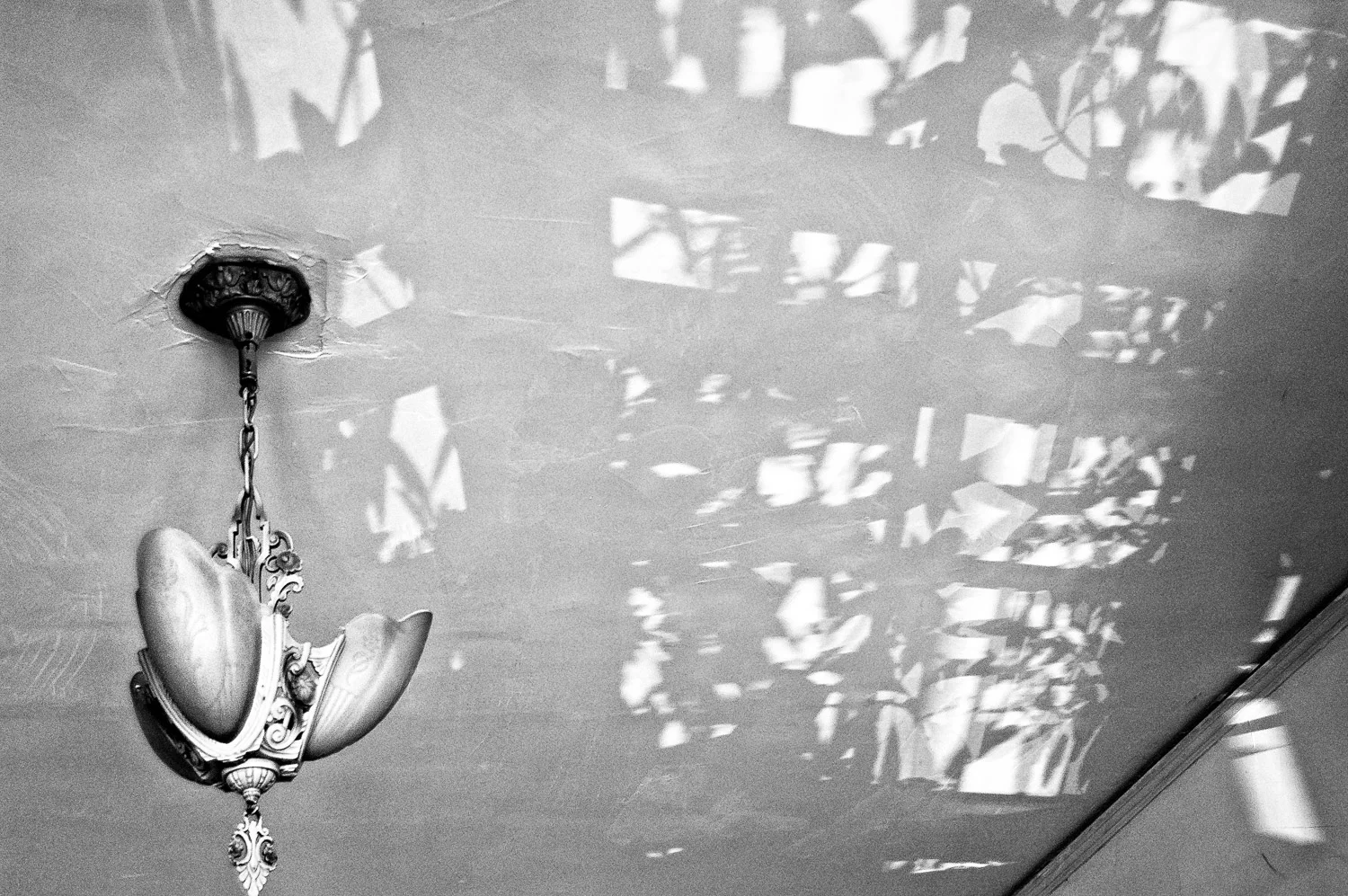 The Dream of the Dancing Ceiling