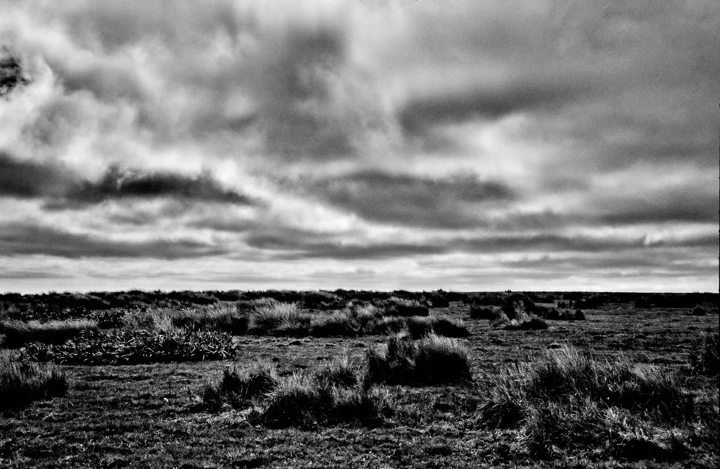 The Allure of Horizon