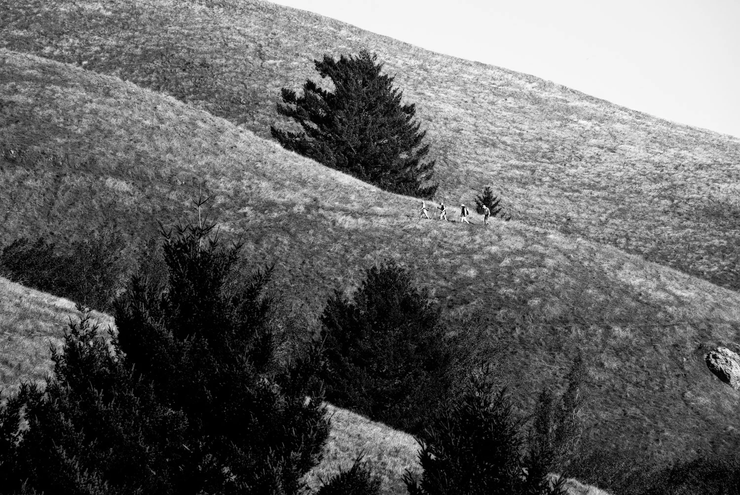 Four Hikers | Mark Lindsay