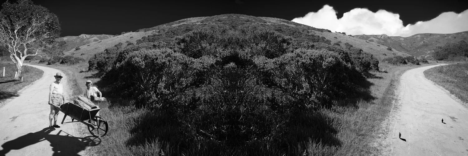 Desolation's Comfort #3