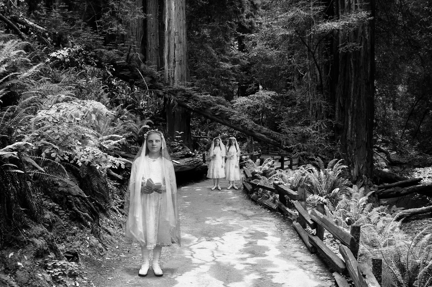 Desolation's Comfort #6