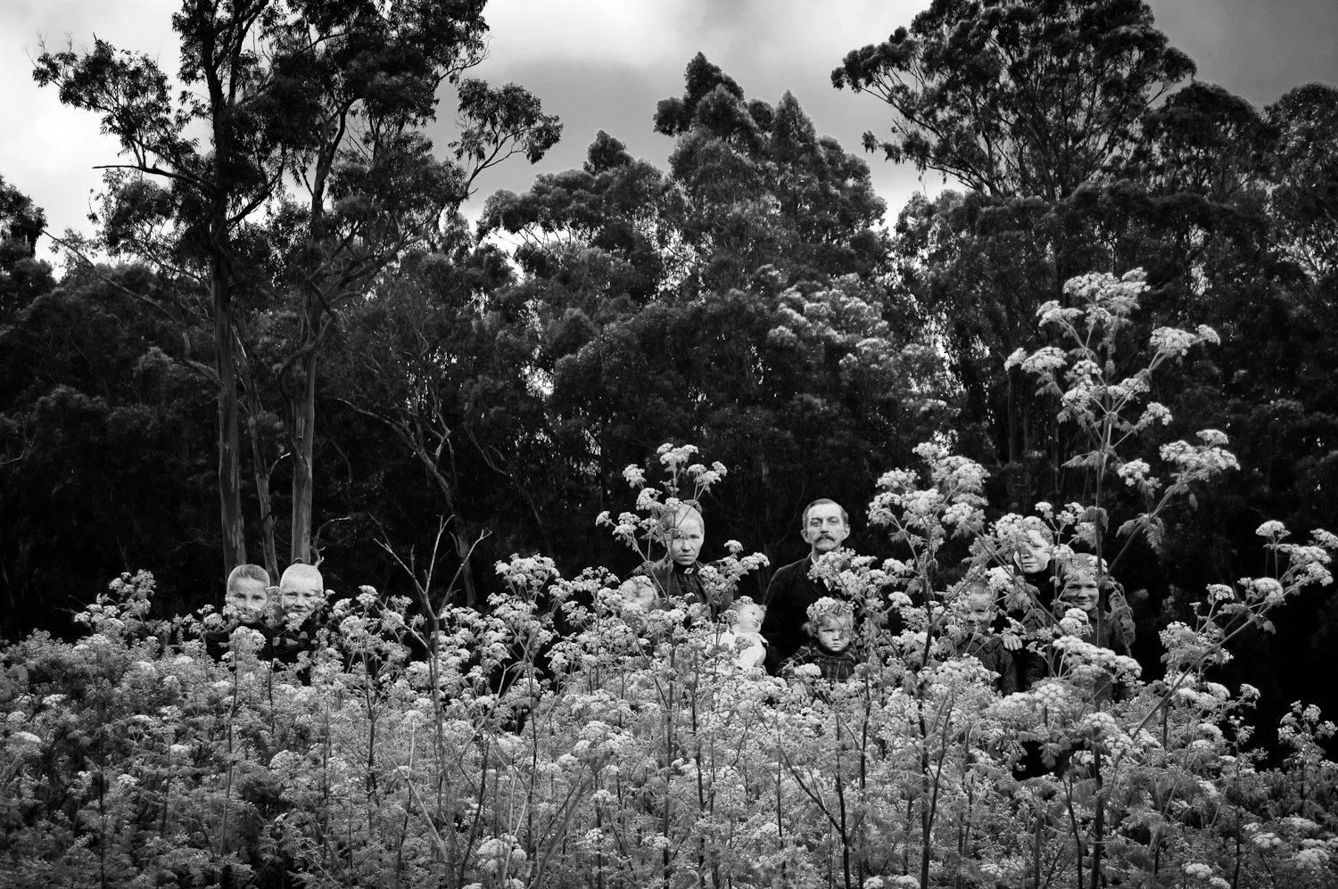 Desolation's Comfort #7