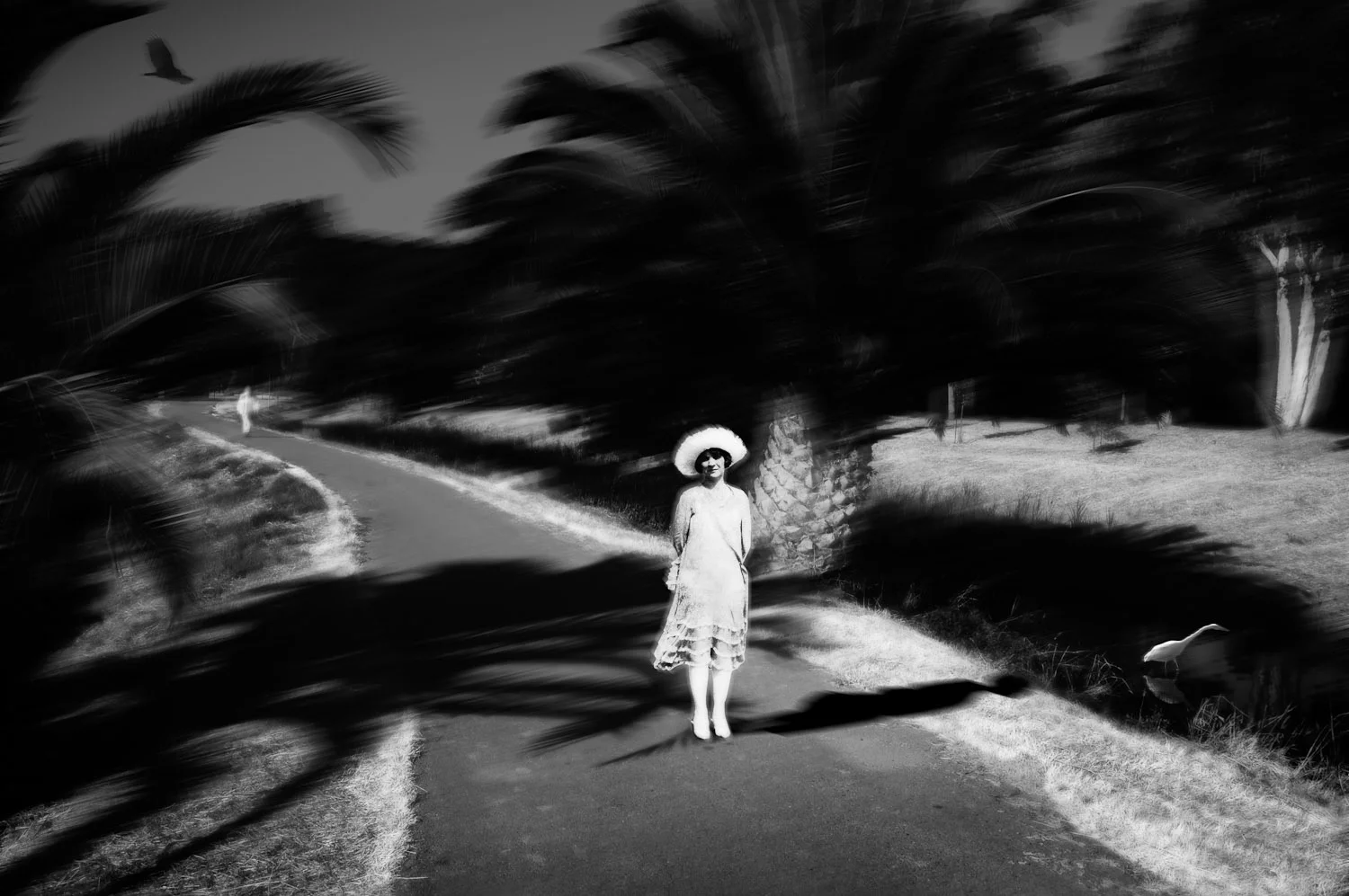 Desolation's Comfort #9