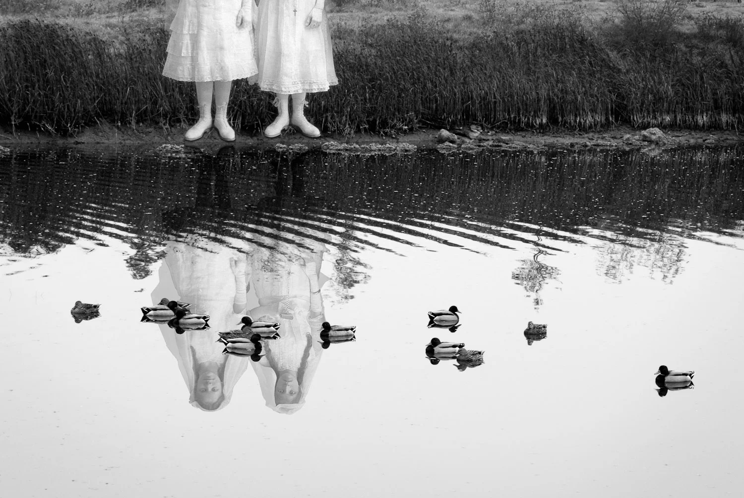 Desolation's Comfort #11