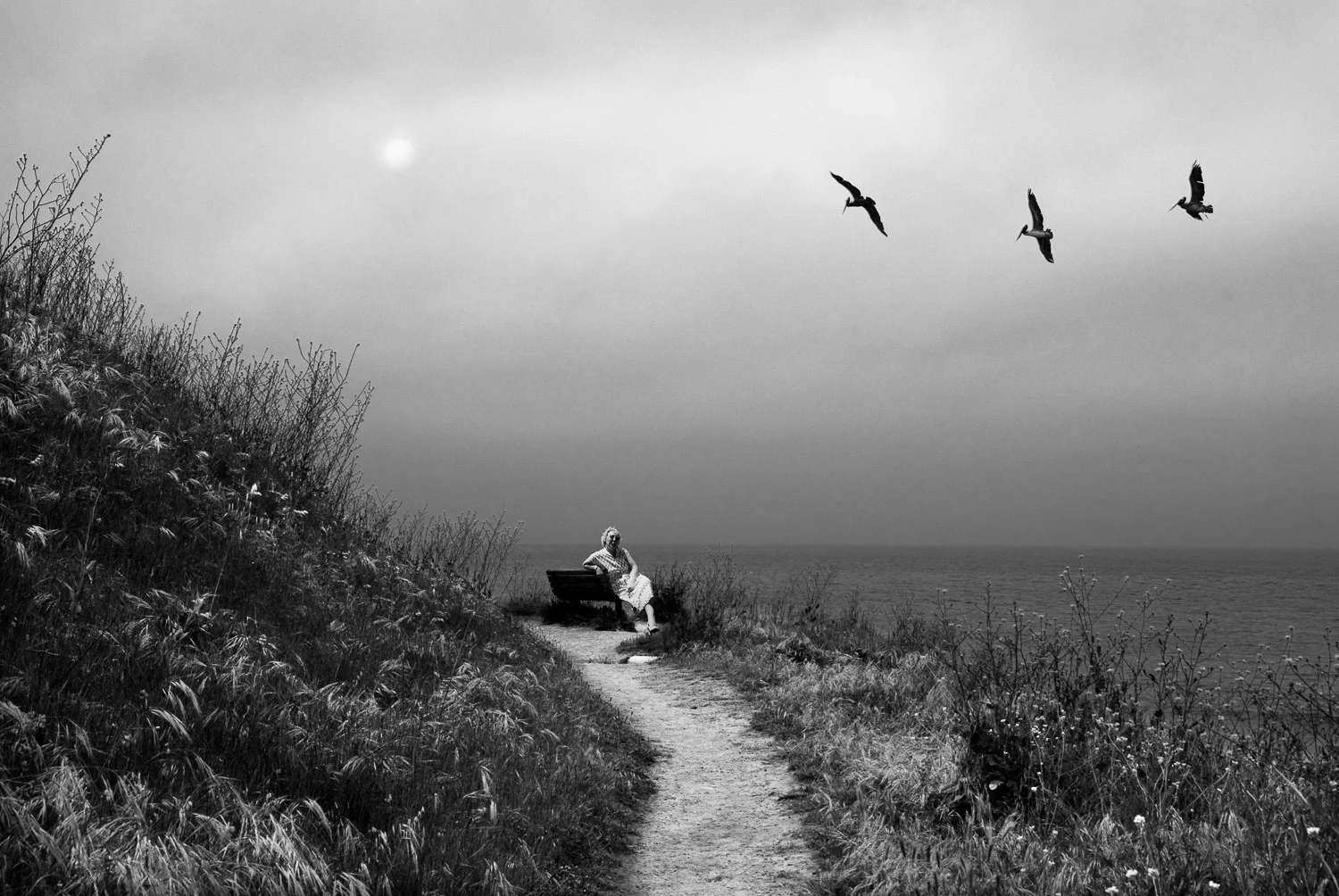 Desolation's Comfort #14