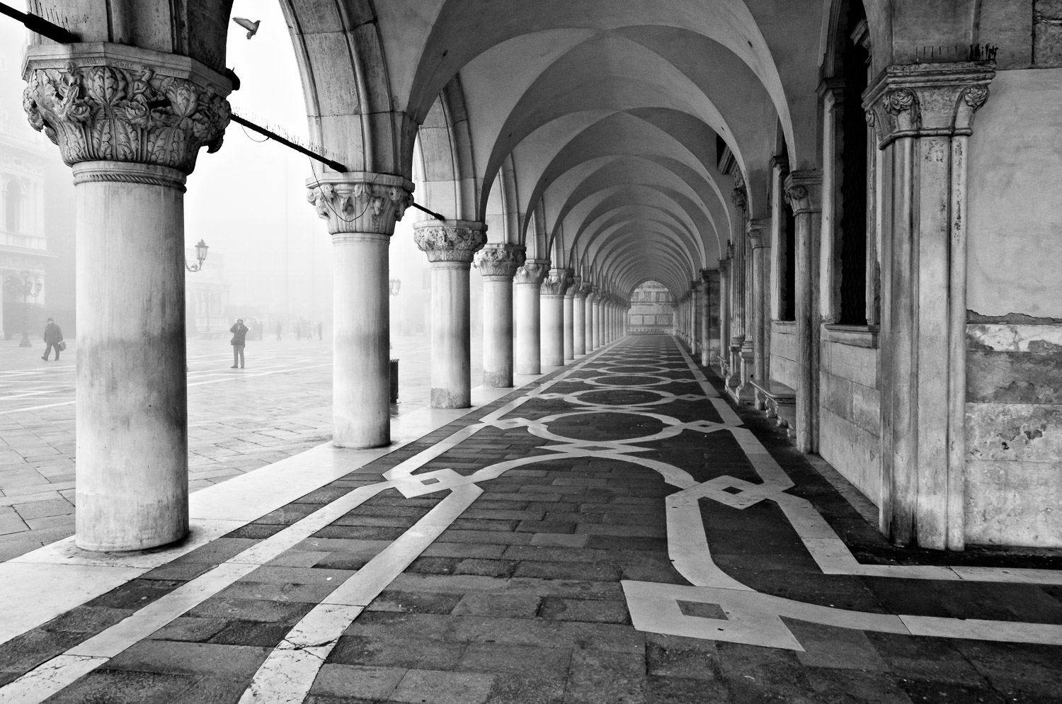 Fog at the Palazzo Ducale
