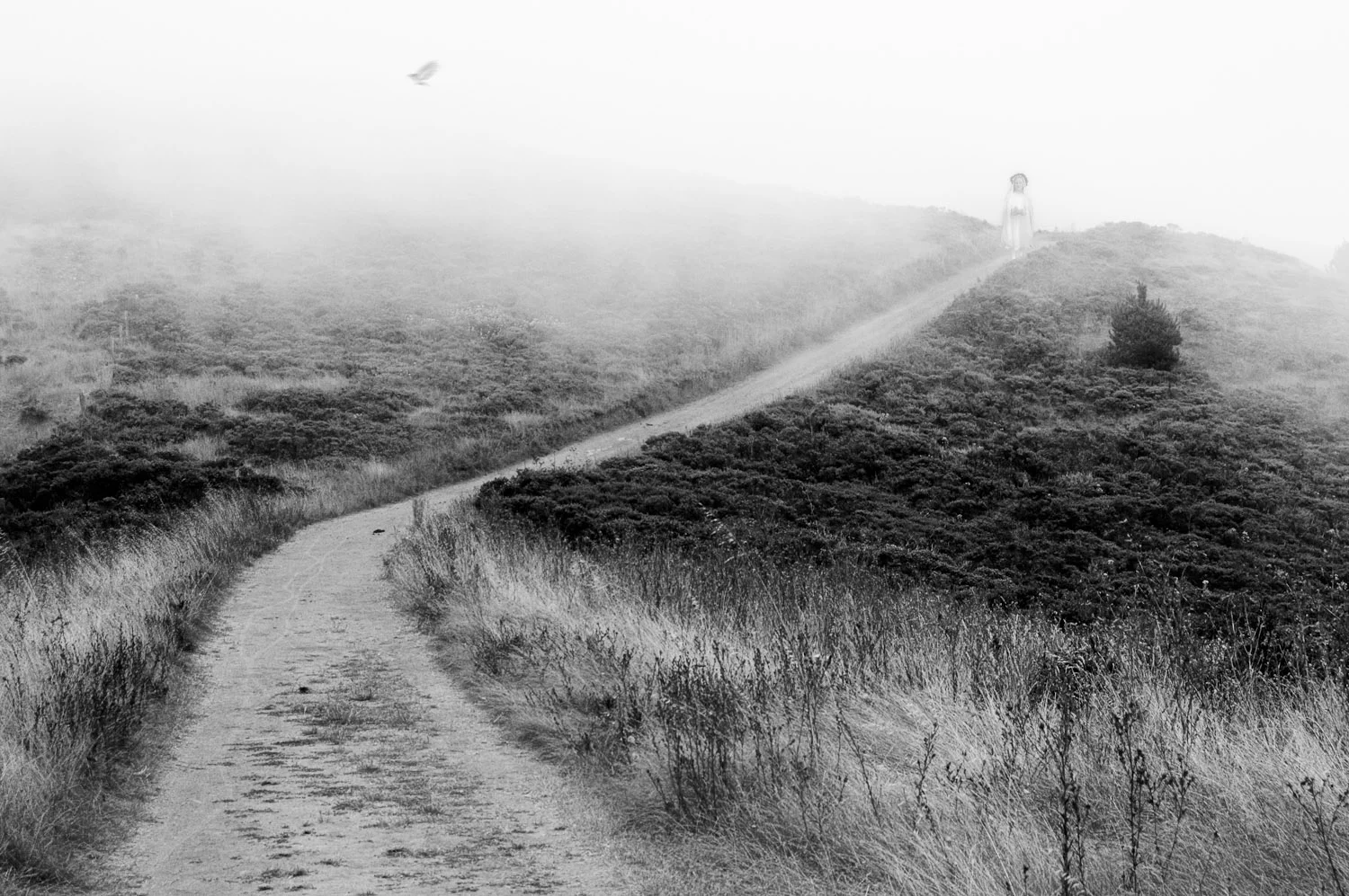 Desolation's Comfort #25