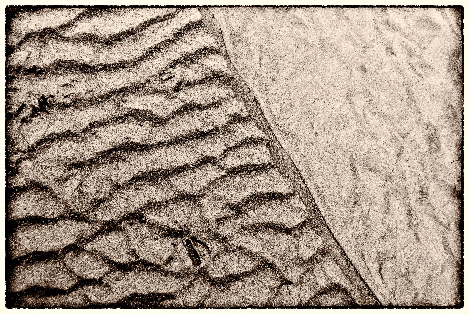 Muir Beach Haiku #13