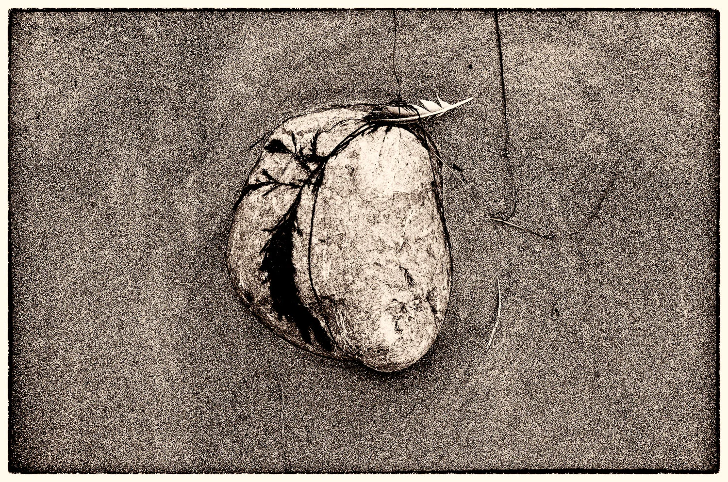 Muir Beach Haiku #15