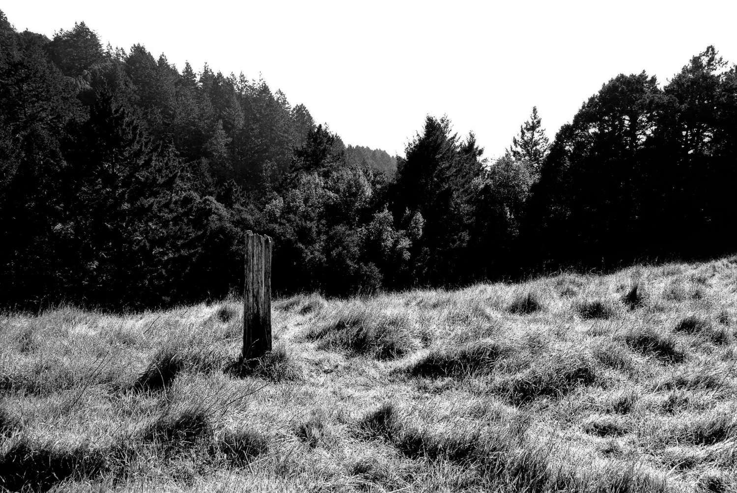 Somnambulance  & Photography