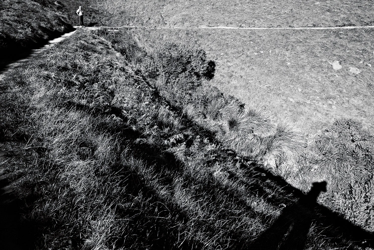 Mt. Tamalpais Trail Shadows | Mark Lindsay