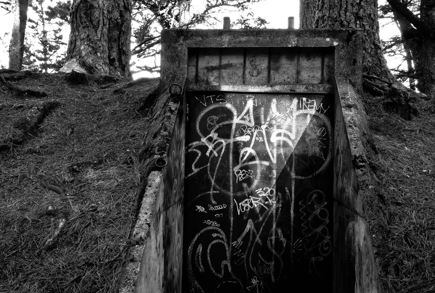 Somewhere Beyond the Postcard