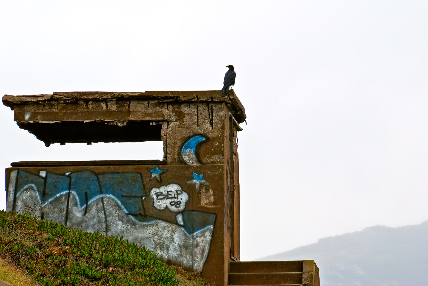 Crow on Bunker, Marin Headlands | Mark Lindsay