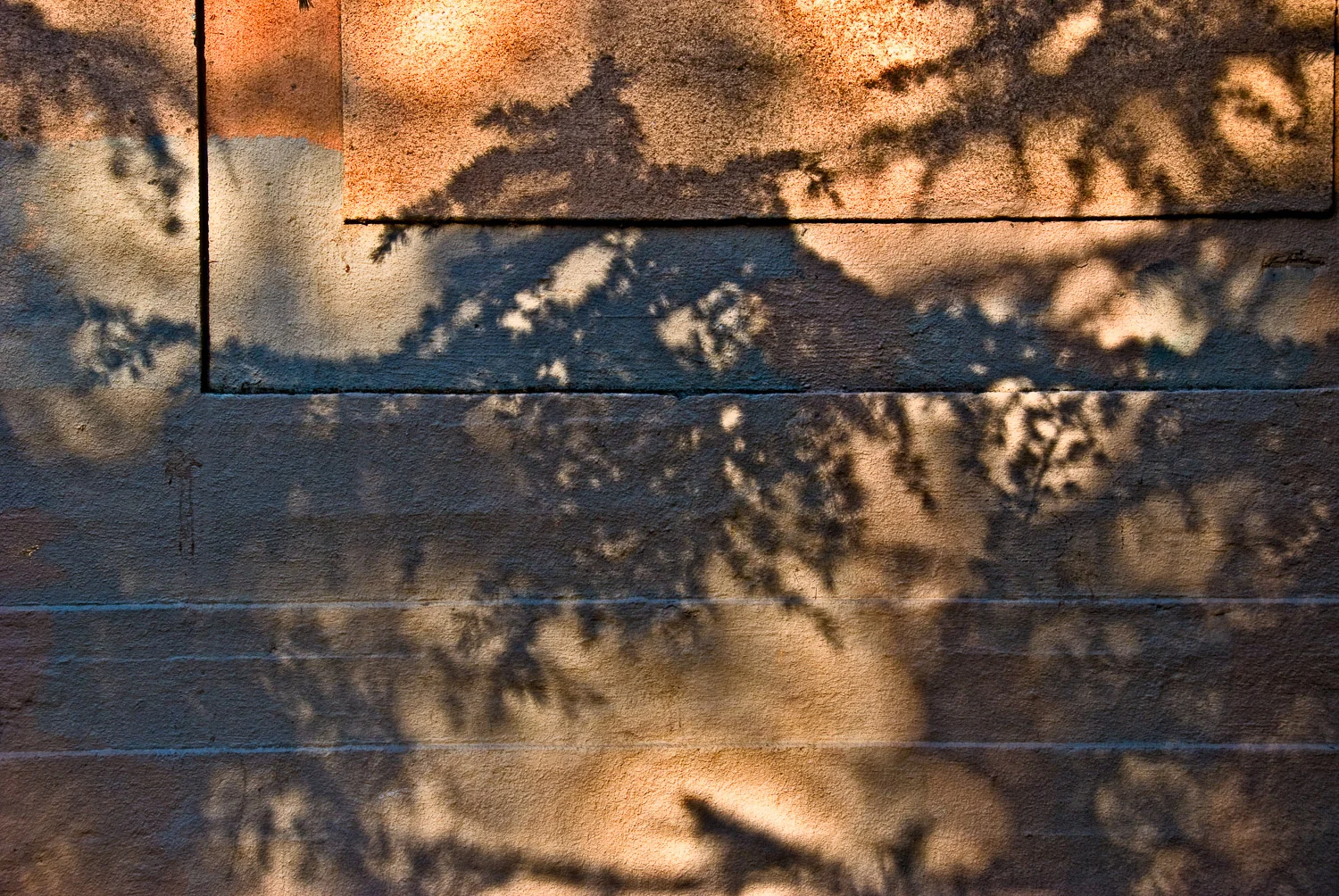 Shadow, Larkspur Railroad Station | Mark Lindsay