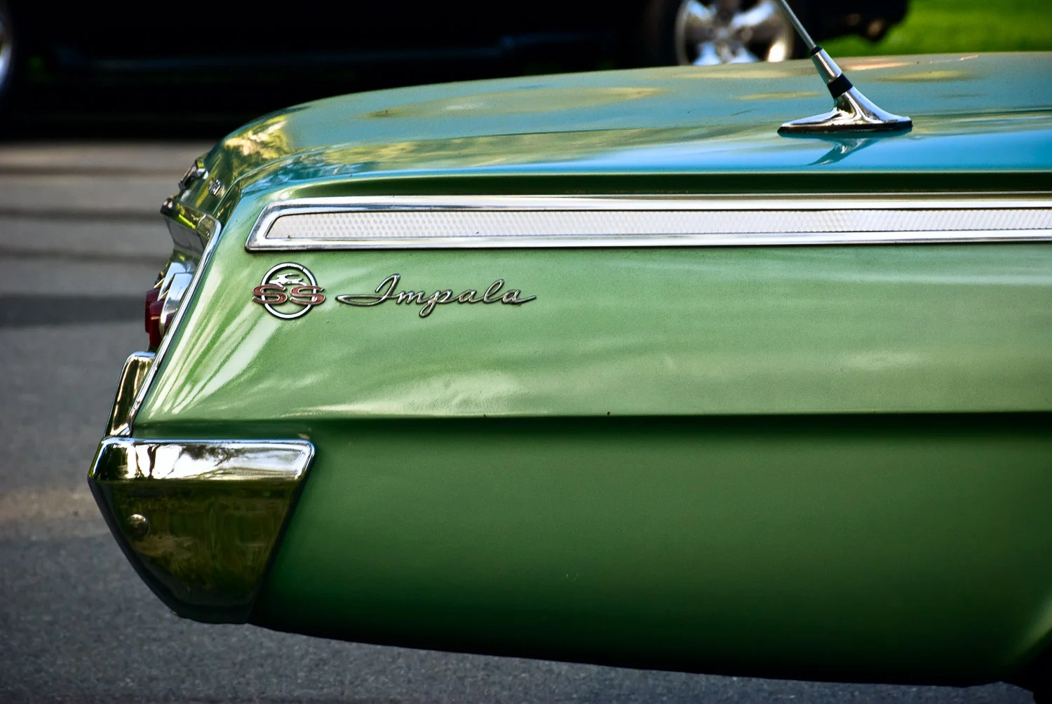 Impala, Corte Madera | Mark Lindsay