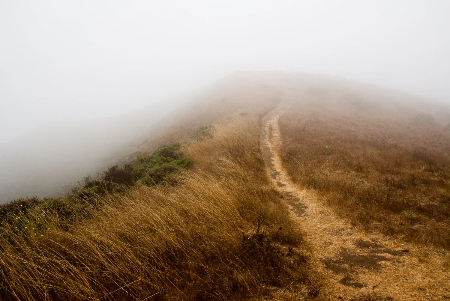 Fog and its Significance